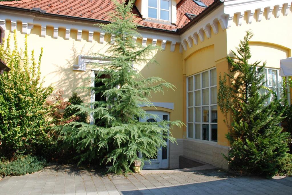 Villa Noa Križ Eksteriør bilde